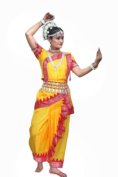 odissi classical dance multicolour professional costume|dress for odissi dancers